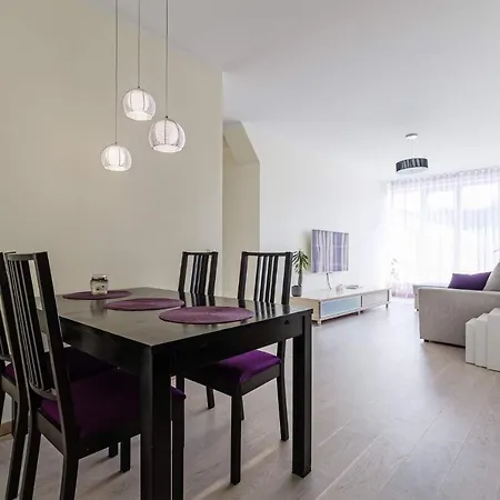 Spacious With Sauna In City Center *