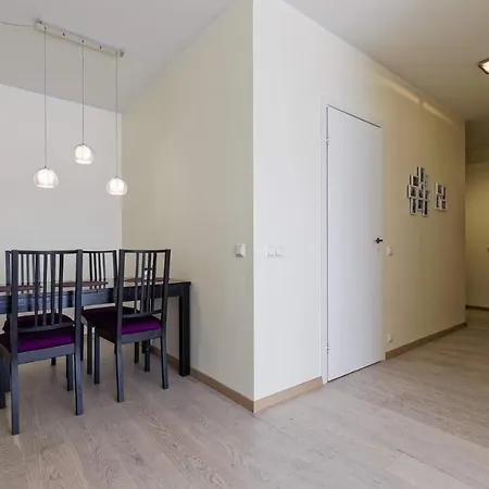 Spacious With Sauna In City Center