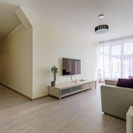 Spacious With Sauna In City Center