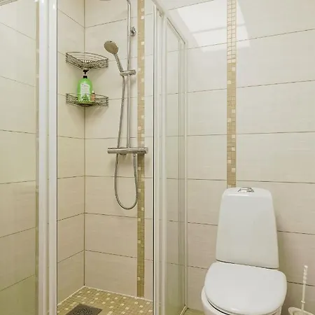 Spacious With Sauna In City Center Talin